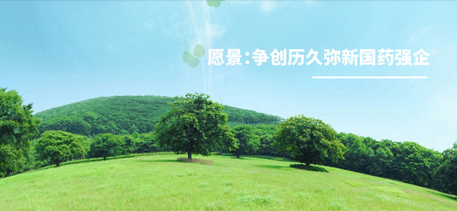 石家莊市偉峰科技有限公司